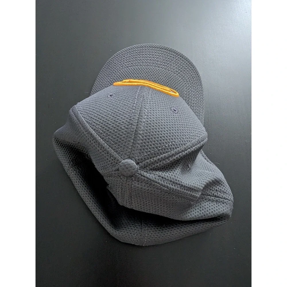 Iowa Hawkeyes New‎ Era 39Thirty Gray Flex Hat m-L
